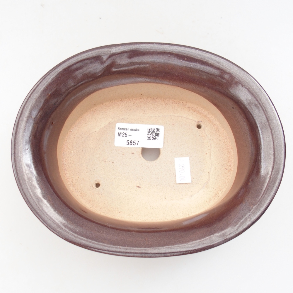 Ciotola bonsai in ceramica 22 x 17 x 5 cm, verde