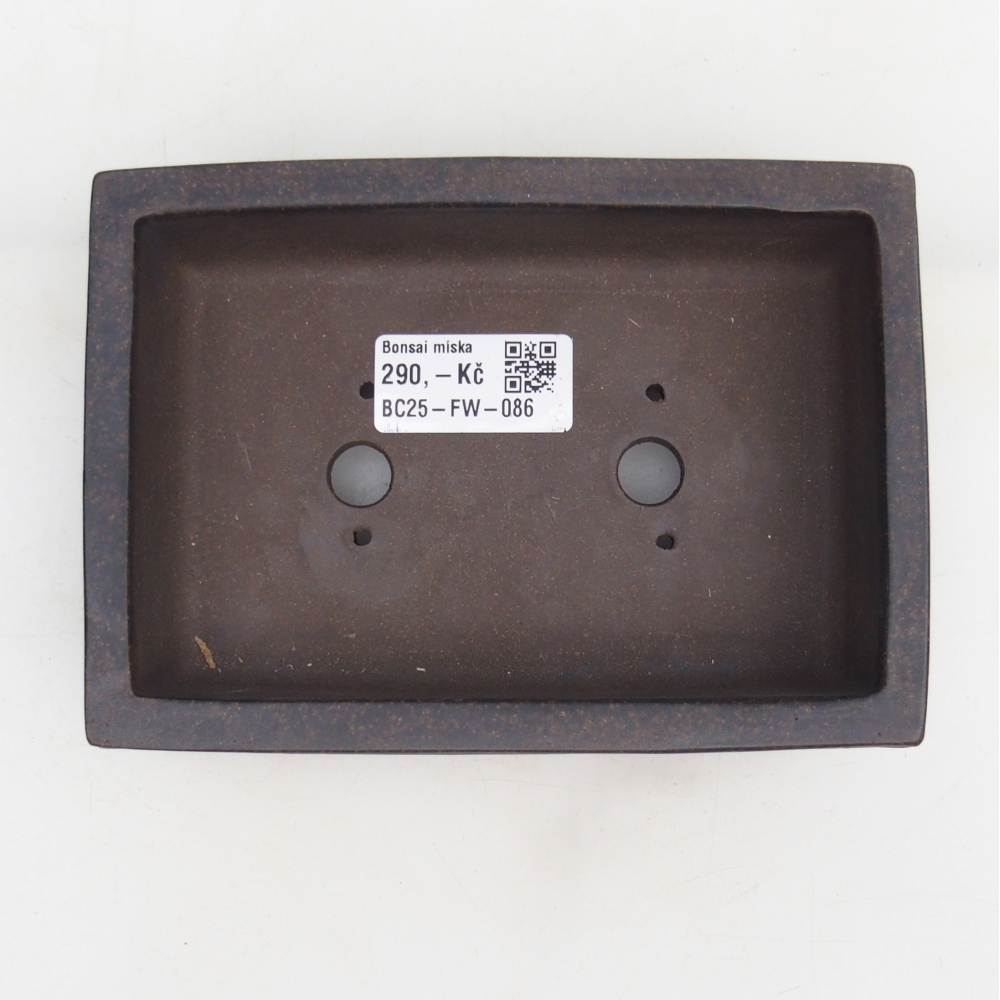 Ciotola per bonsai in ceramica 15,5 x 11 x 4,5 cm, marrone ocra