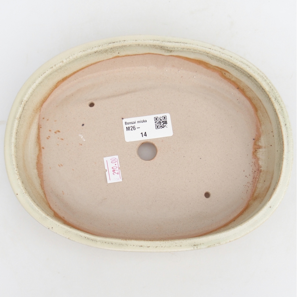 Ciotola bonsai in ceramica 22,5 x 17 x 4,5 cm, verde