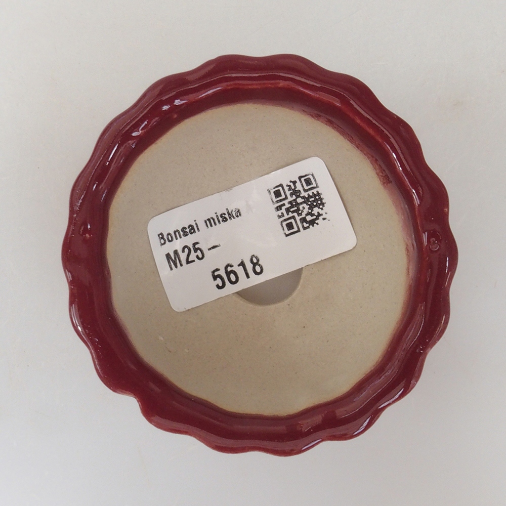 Ciotola per mini bonsai 6,5 x 6,5 x 3,5 cm, bordeaux