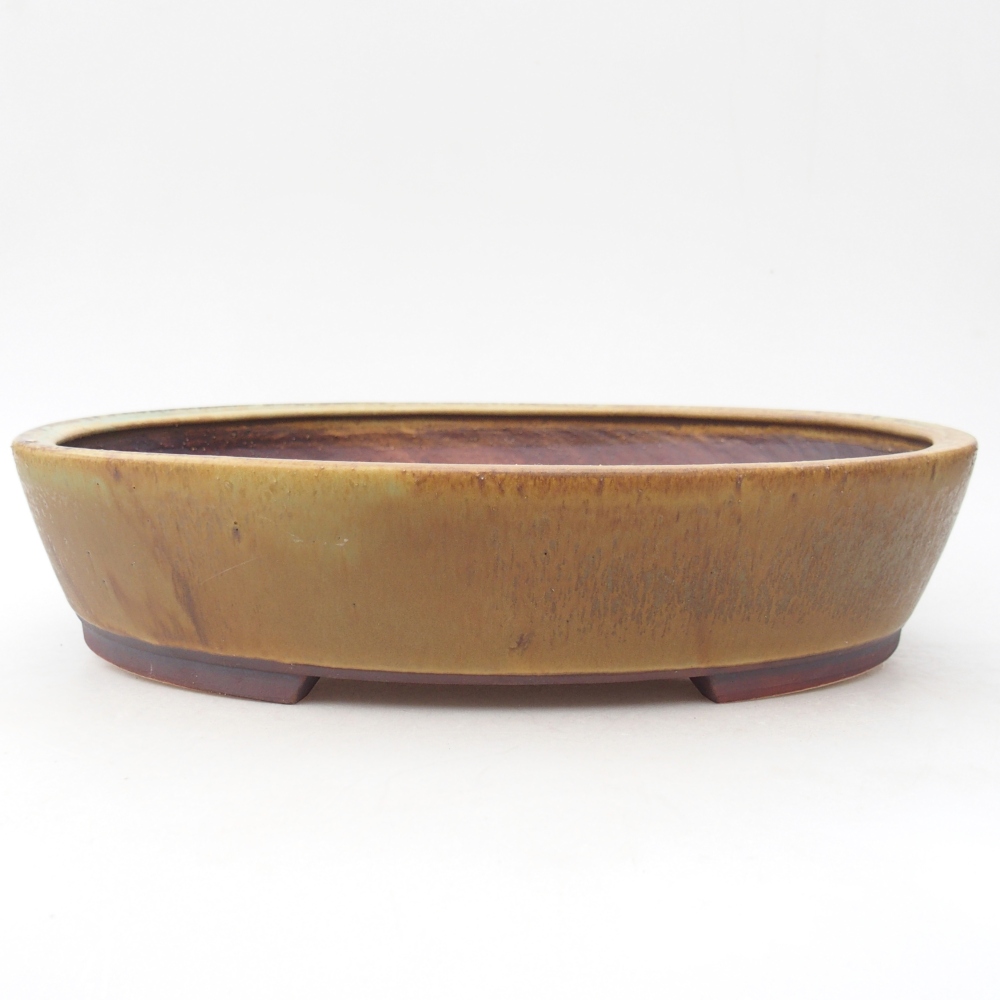 Ciotola per bonsai in ceramica 28 x 24,5 x 6 cm, verde