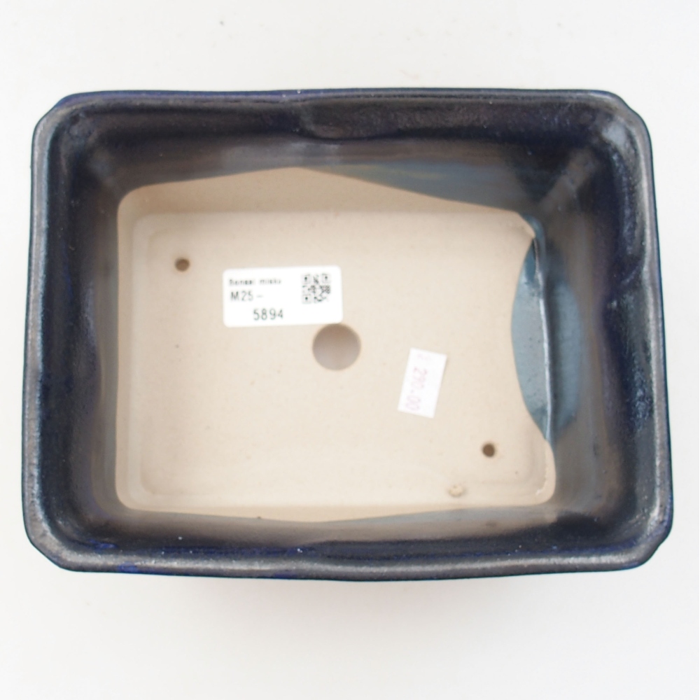 Ciotola bonsai in ceramica 22 x 17 x 5 cm, verde