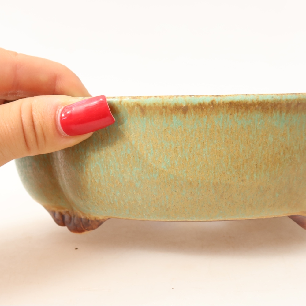 Ciotola per bonsai in ceramica 17 x 15,5 x 5,5 cm, verde