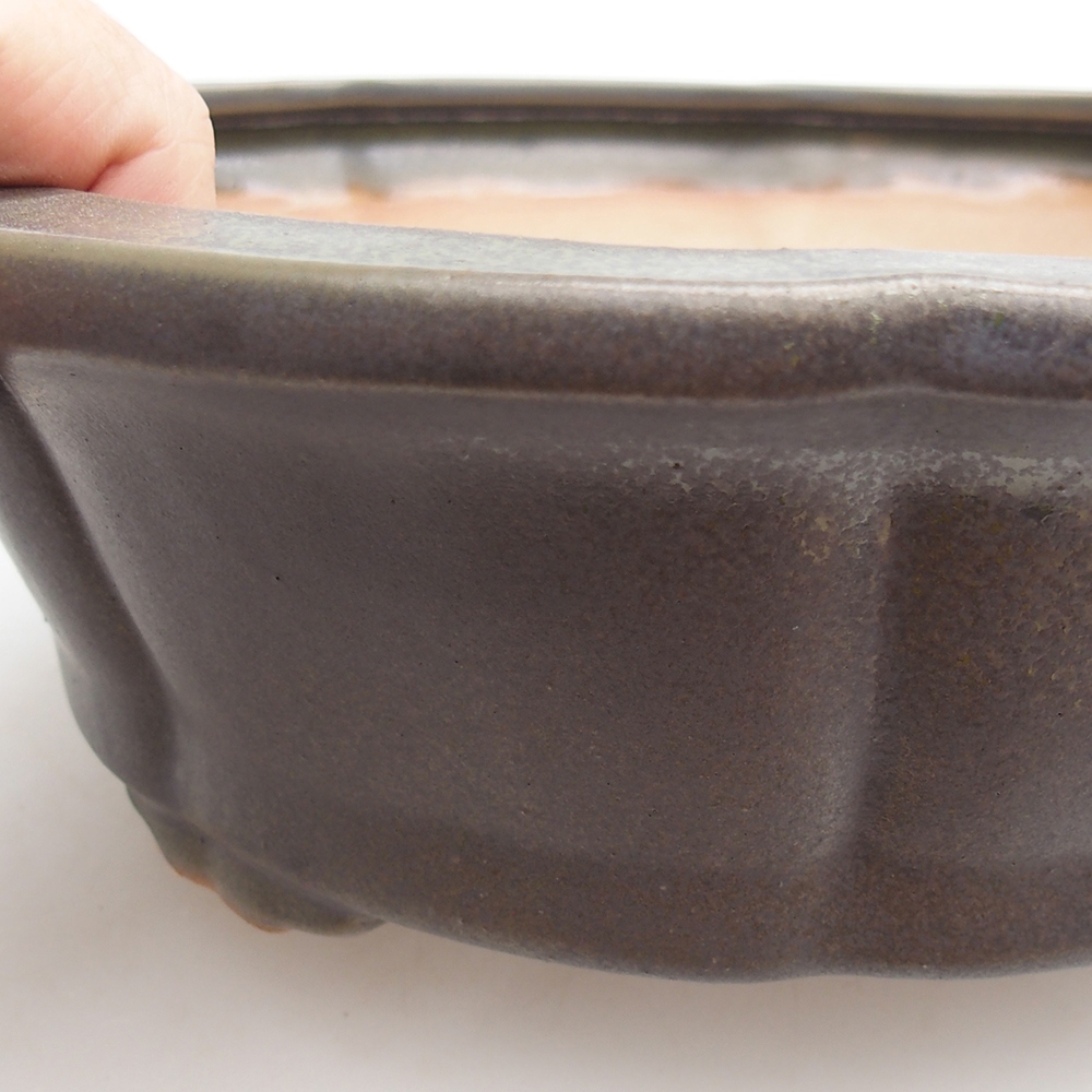 Ciotola bonsai in ceramica 26 x 26 x 8 cm, verde