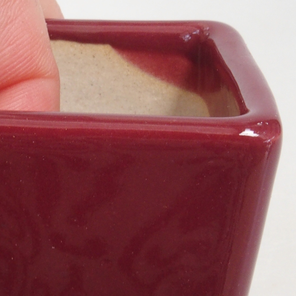 Mini bonsai 4,5 x 4,5 x 4,5 cm, bordeaux