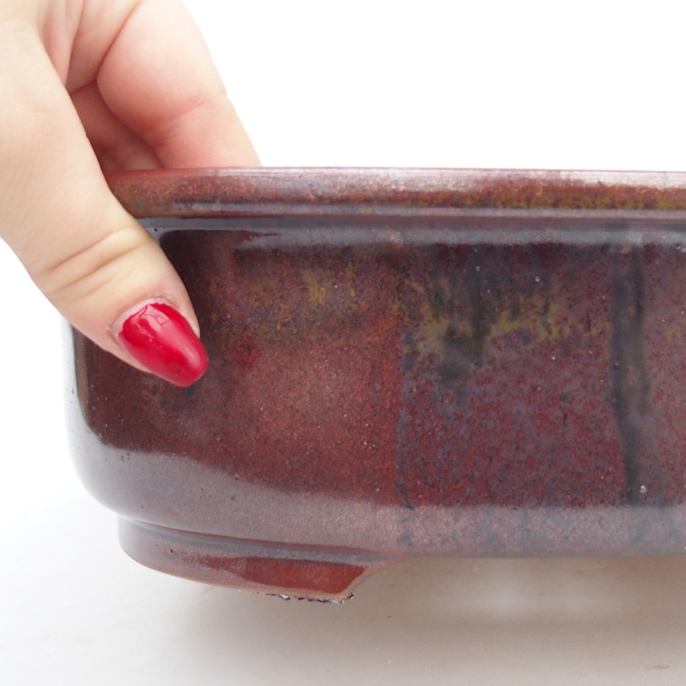 Ciotola per bonsai in ceramica 26 x 22 x 8 cm, marrone