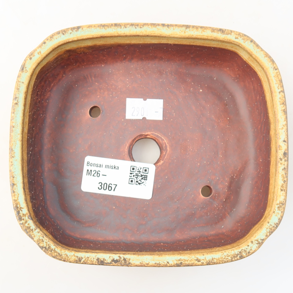 Vaso da bonsai in ceramica 13,5 x 12 x 4 cm, colore verde
