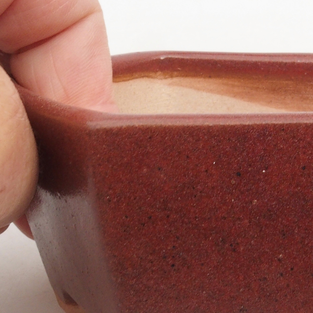 Ciotola per bonsai in ceramica 9,5 x 9 x 4,5 cm, marrone