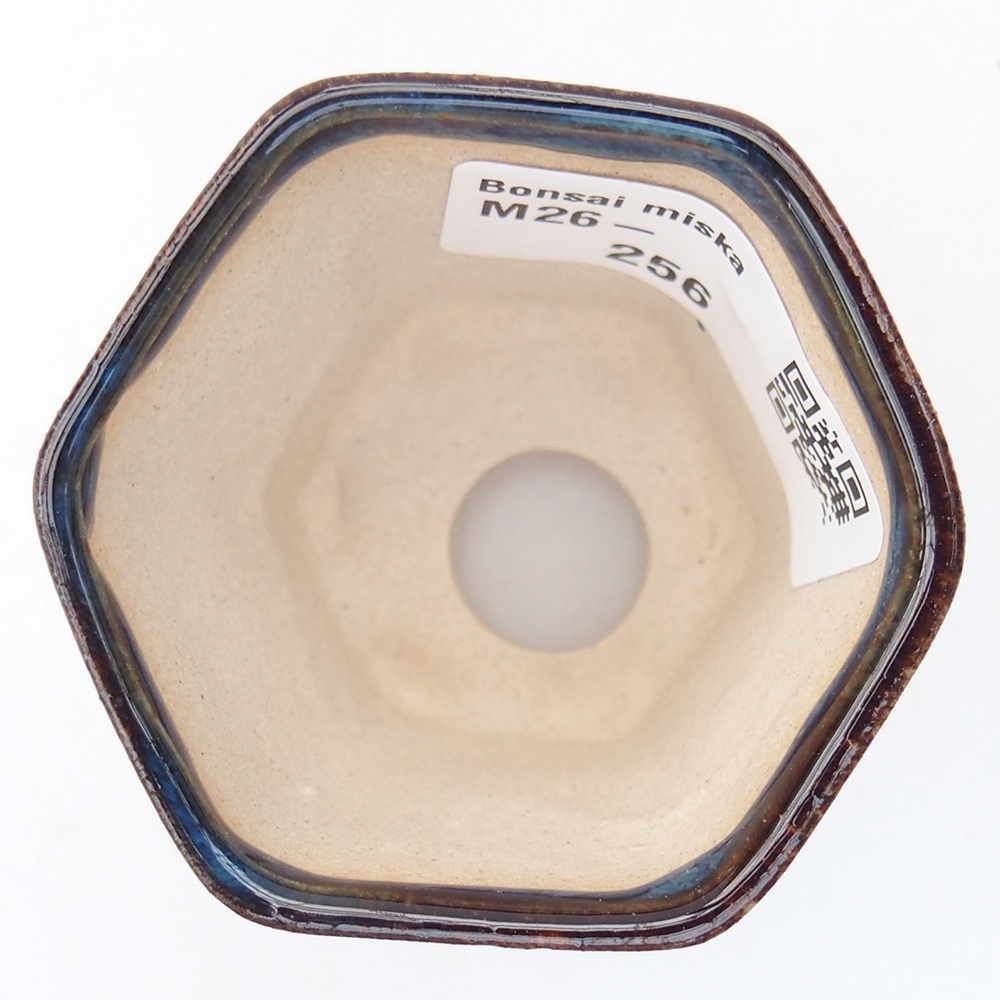 Mini bonsai 5,5 x 5 x 5 cm, colore blu