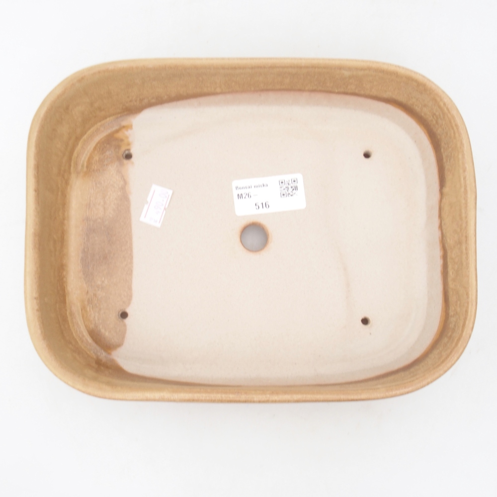 Ciotola per bonsai in ceramica 22,5 x 17 x 6 cm, colore beige