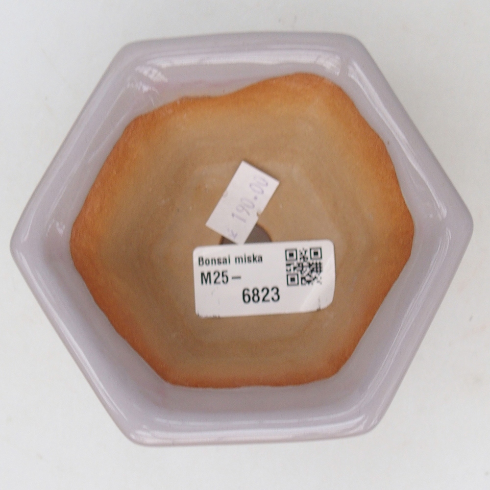 Ciotola per bonsai in ceramica 10,5 x 9,5 x 5,5 cm, rosa