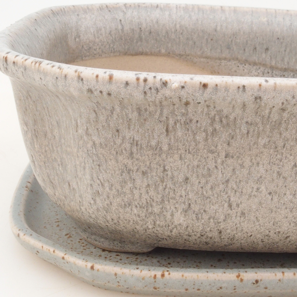 Ciotola bonsai + piattino H31 - beige