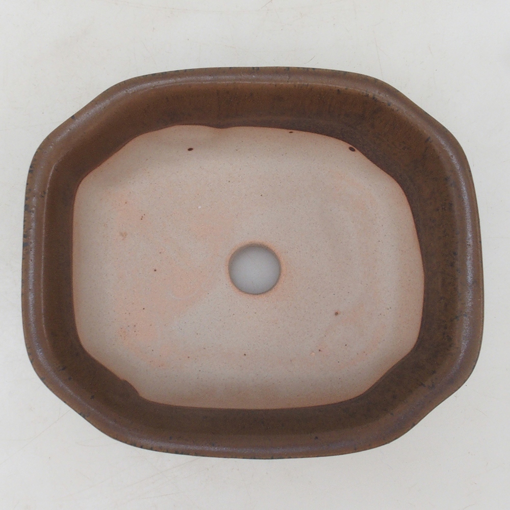 Ciotola per bonsai H31 - 14 x 12 x 5,5 cm - marrone