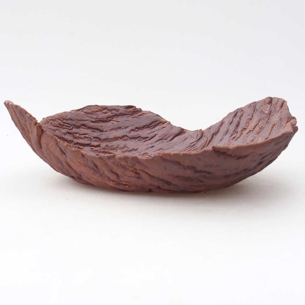 Conchiglia in ceramica 22 x 18,5 x 6,5 cm , colore marrone