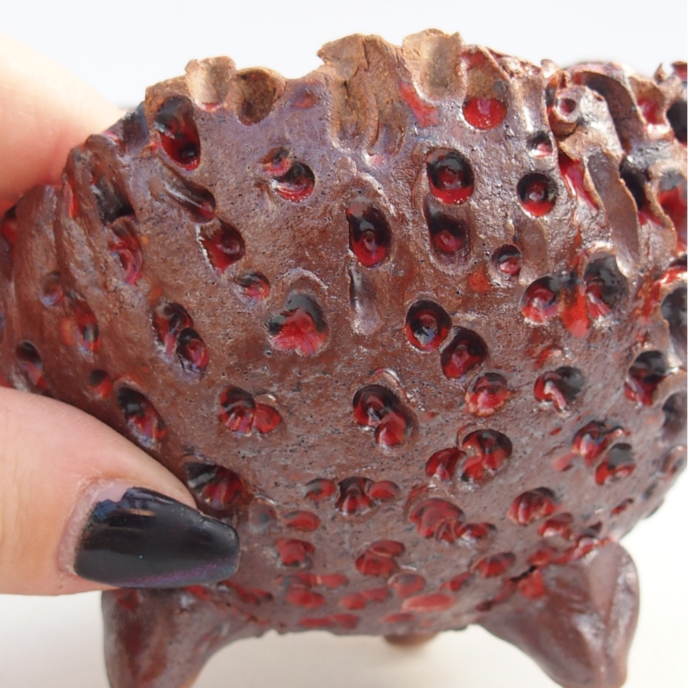 Conchiglia in ceramica 10 x 9,5 x 8 cm , colore marrone