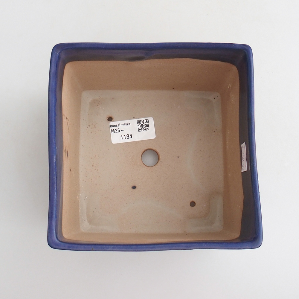 Ciotola per bonsai in ceramica 15 x 15 x 10,5 cm, colore blu