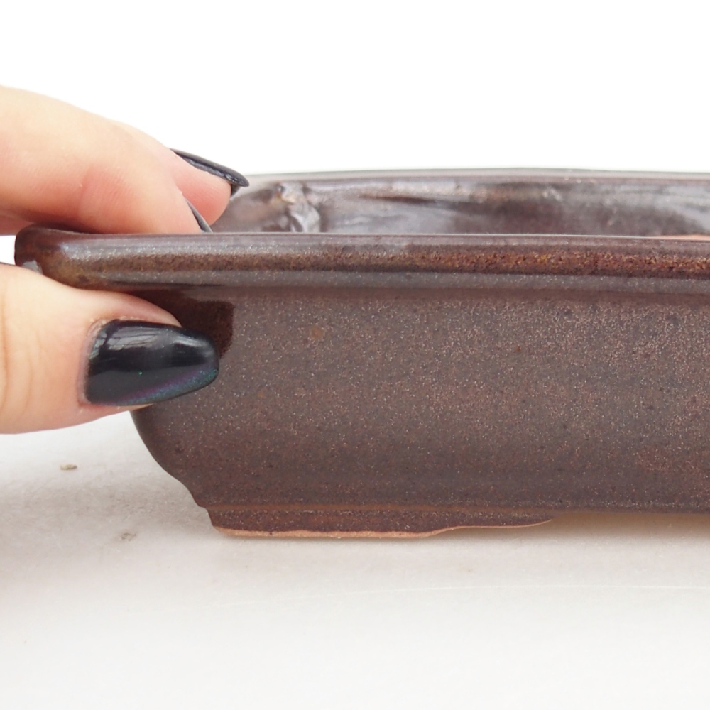 Ciotola per bonsai in ceramica 18 x 13,5 x 4,5 cm, marrone