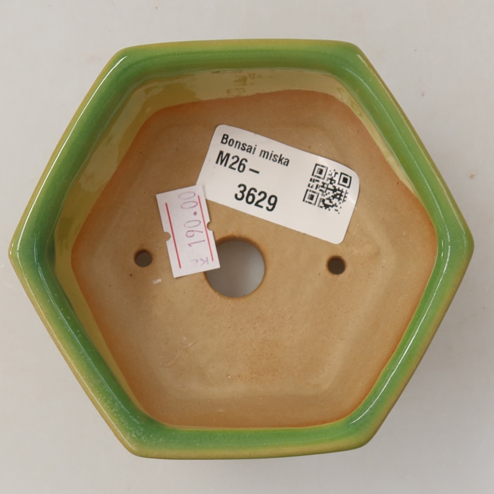 Ciotola per bonsai in ceramica 10 x 9 x 5 cm, verde