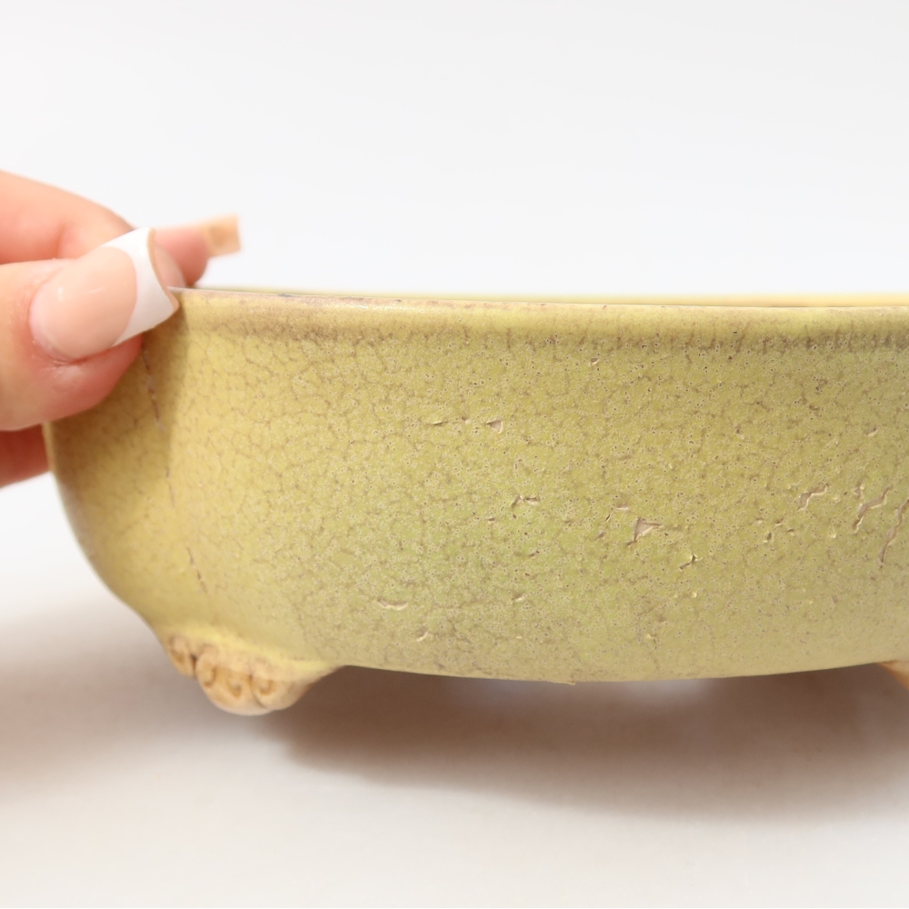 Vaso da bonsai in ceramica 17,5 x 15,5 x 5,5 cm, colore giallo