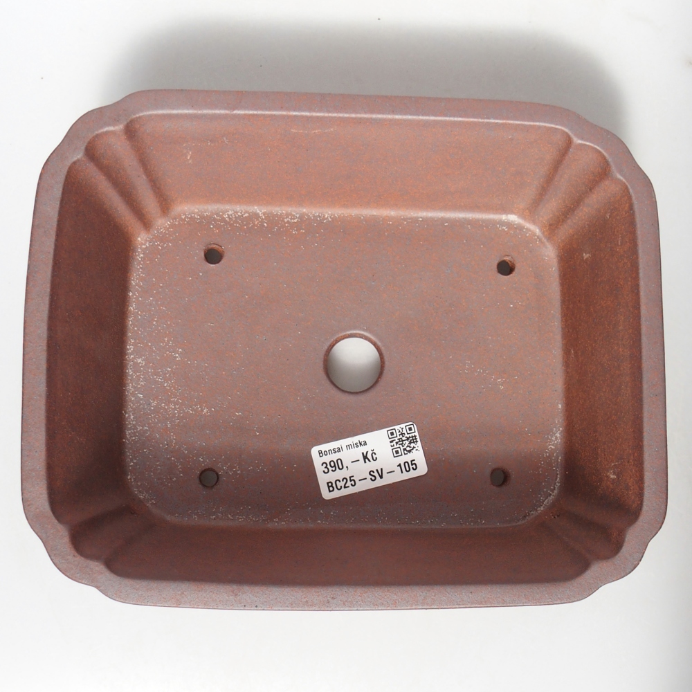 Ciotola 21 x 17 x 6,5 cm colore metallo