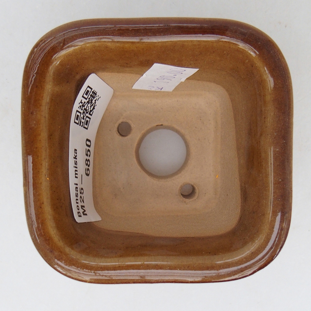 Ciotola per bonsai in ceramica 6,5 x 6,5 x 4,5 cm, marrone