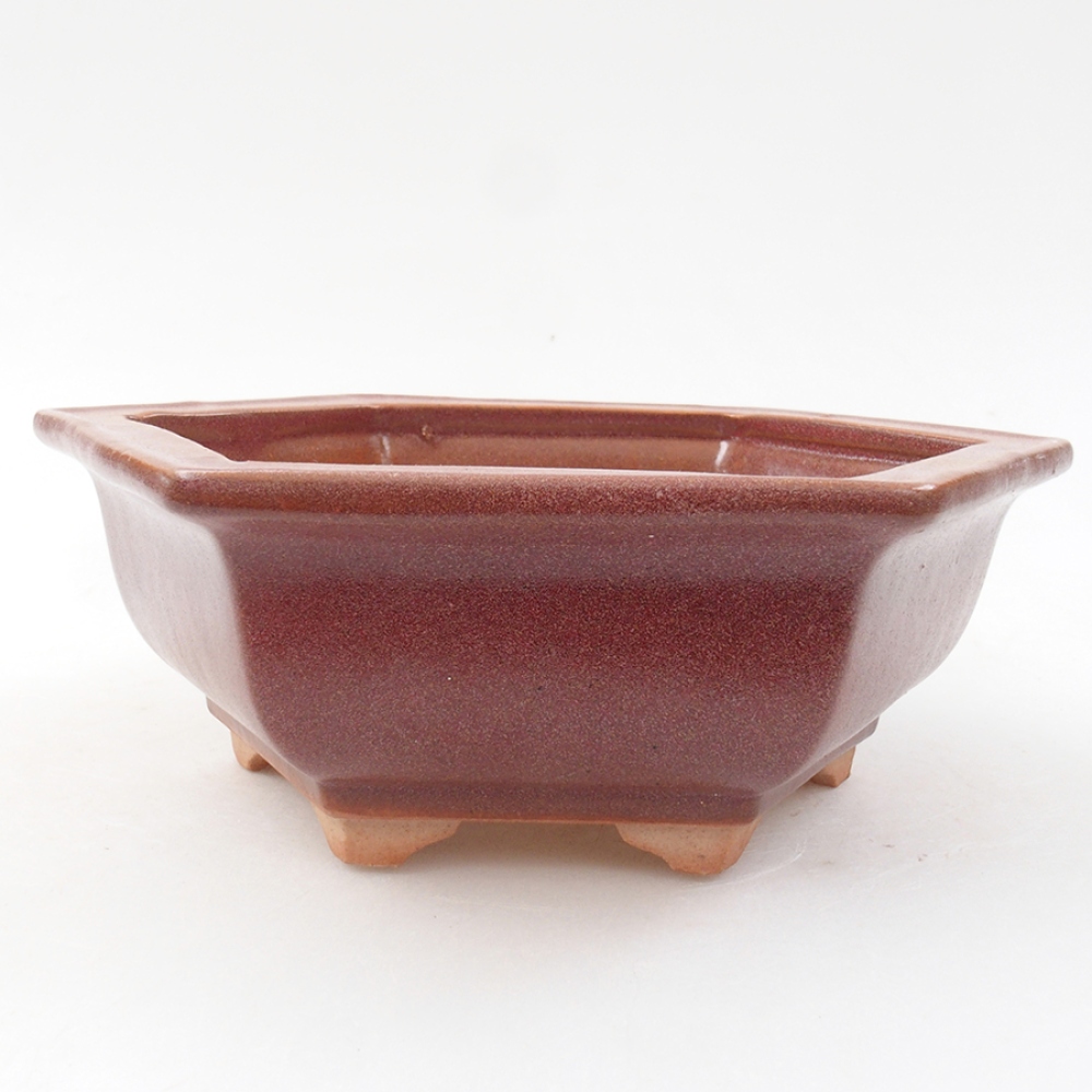 Ciotola bonsai in ceramica 14 x 11 x 4 cm, bordeaux