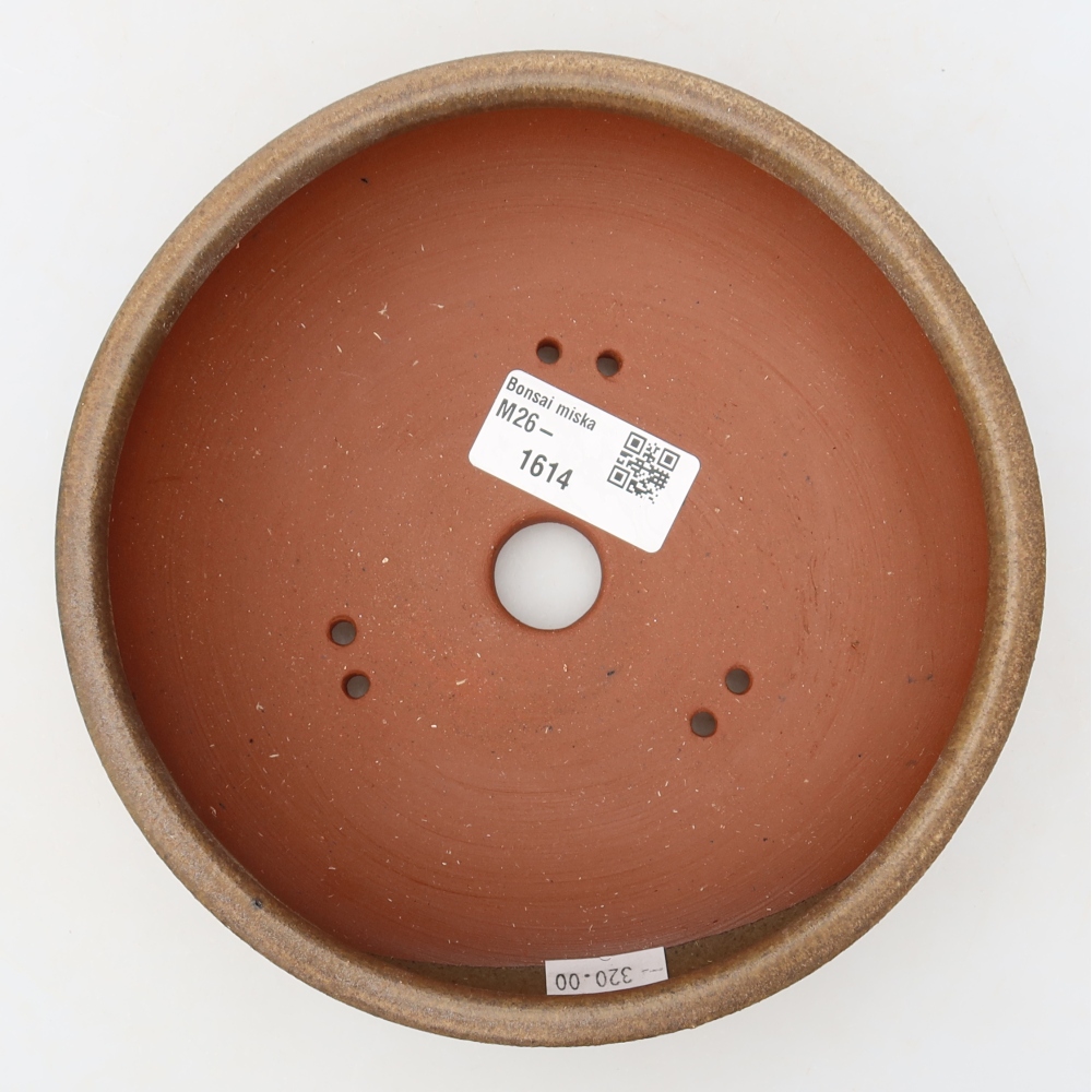 Ciotola per bonsai in ceramica 16,5 x 16,5 x 5,5 cm, marrone