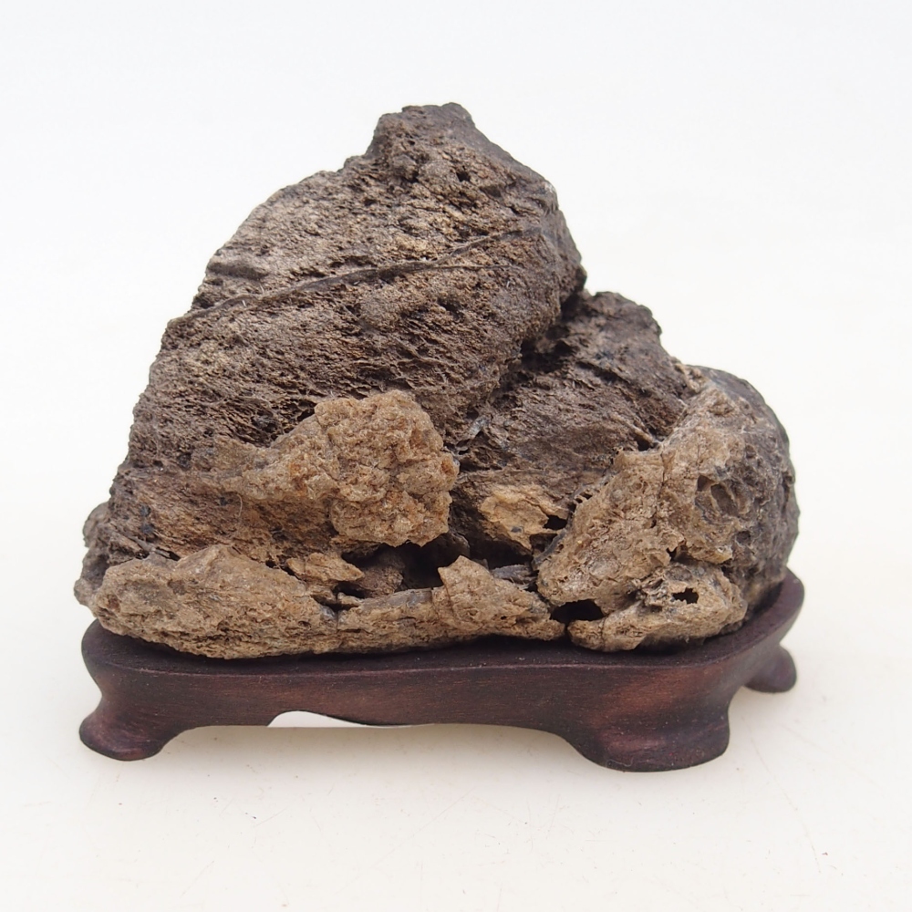 Suiseki - Pietra con DAI (base in legno)