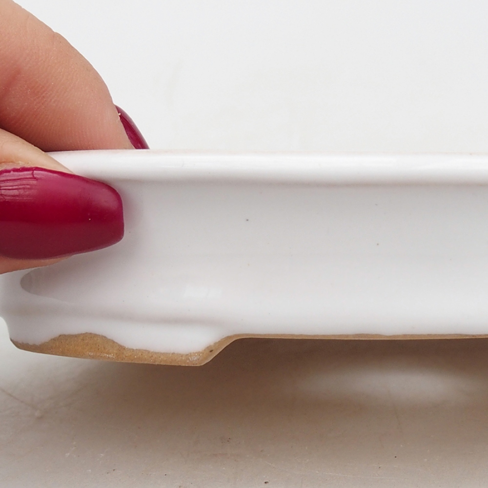 Ciotola per bonsai in ceramica 13 x 11 x 2,5 cm, colore bianco