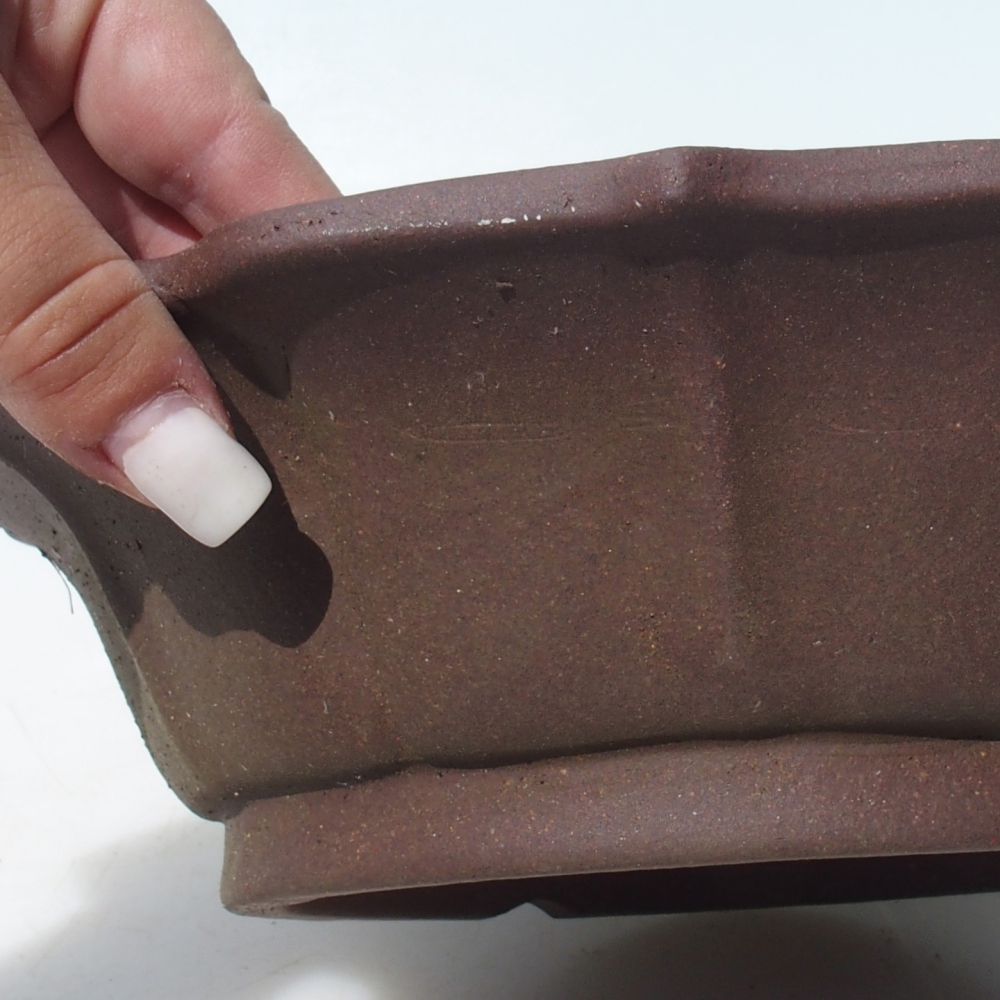 Ciotola per bonsai 24 x 24 x 7 cm betulla marrone