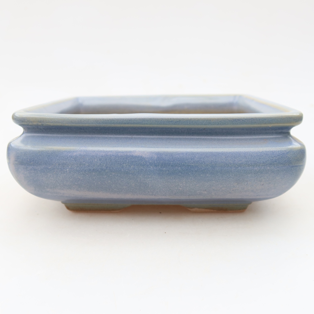Vaso in ceramica per bonsai 15,5 x 15,5 x 6 cm, colore blu