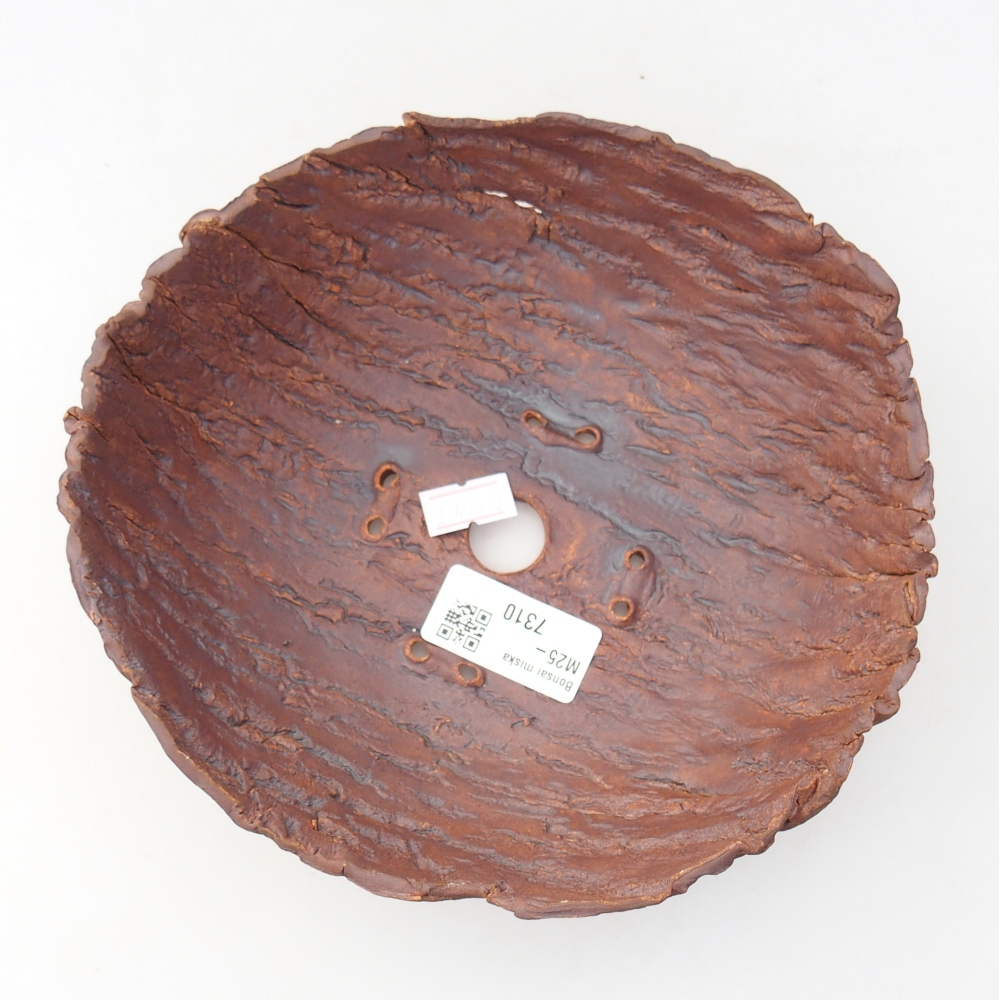 Conchiglia in ceramica 19 x 17 x 7 cm , colore marrone