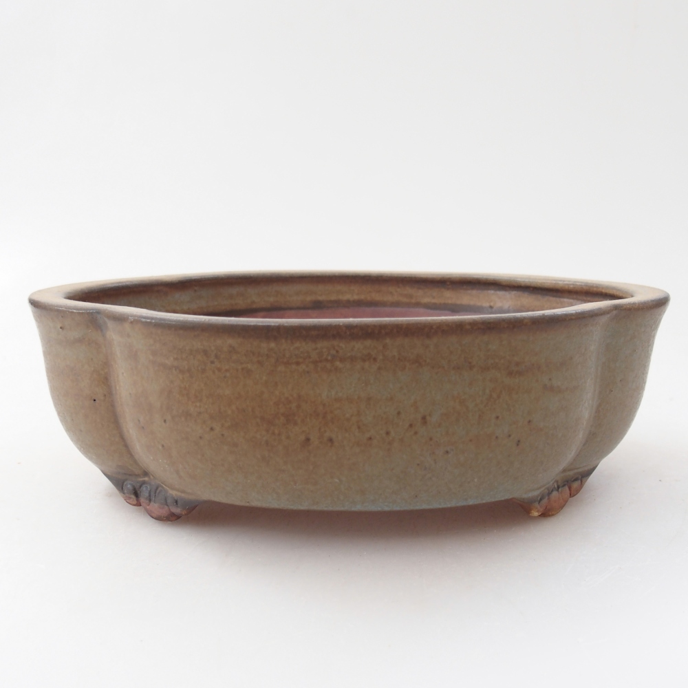 Ciotola per bonsai in ceramica 17 x 15 x 5,5 cm, marrone
