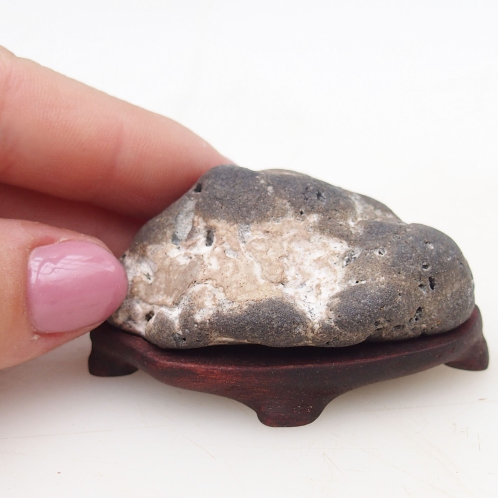 Suiseki - Pietra con DAI (base in legno)