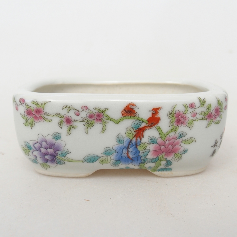 Mini bonsai 8 x 6 x 3 cm, bianco