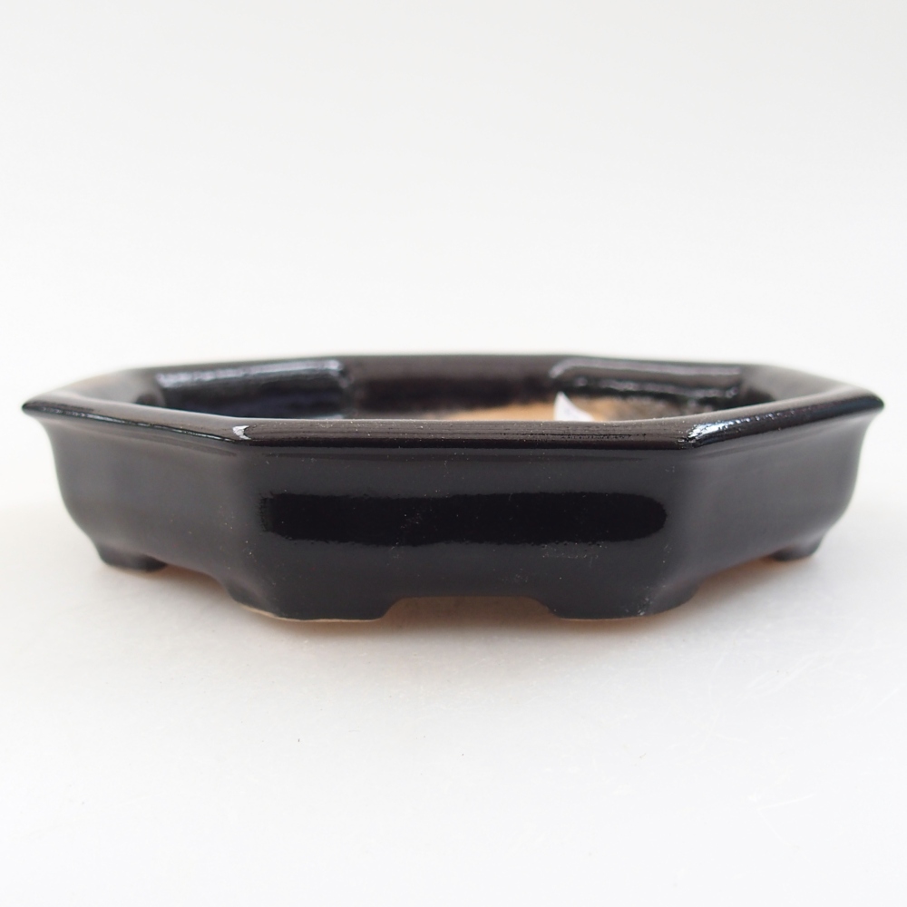 Ciotola per bonsai in ceramica 11,5 x 11,5 x 2 cm, colore nero