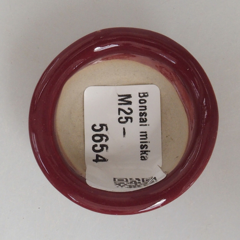 Ciotola per mini bonsai 4 x 4 x 2 cm, bordeaux