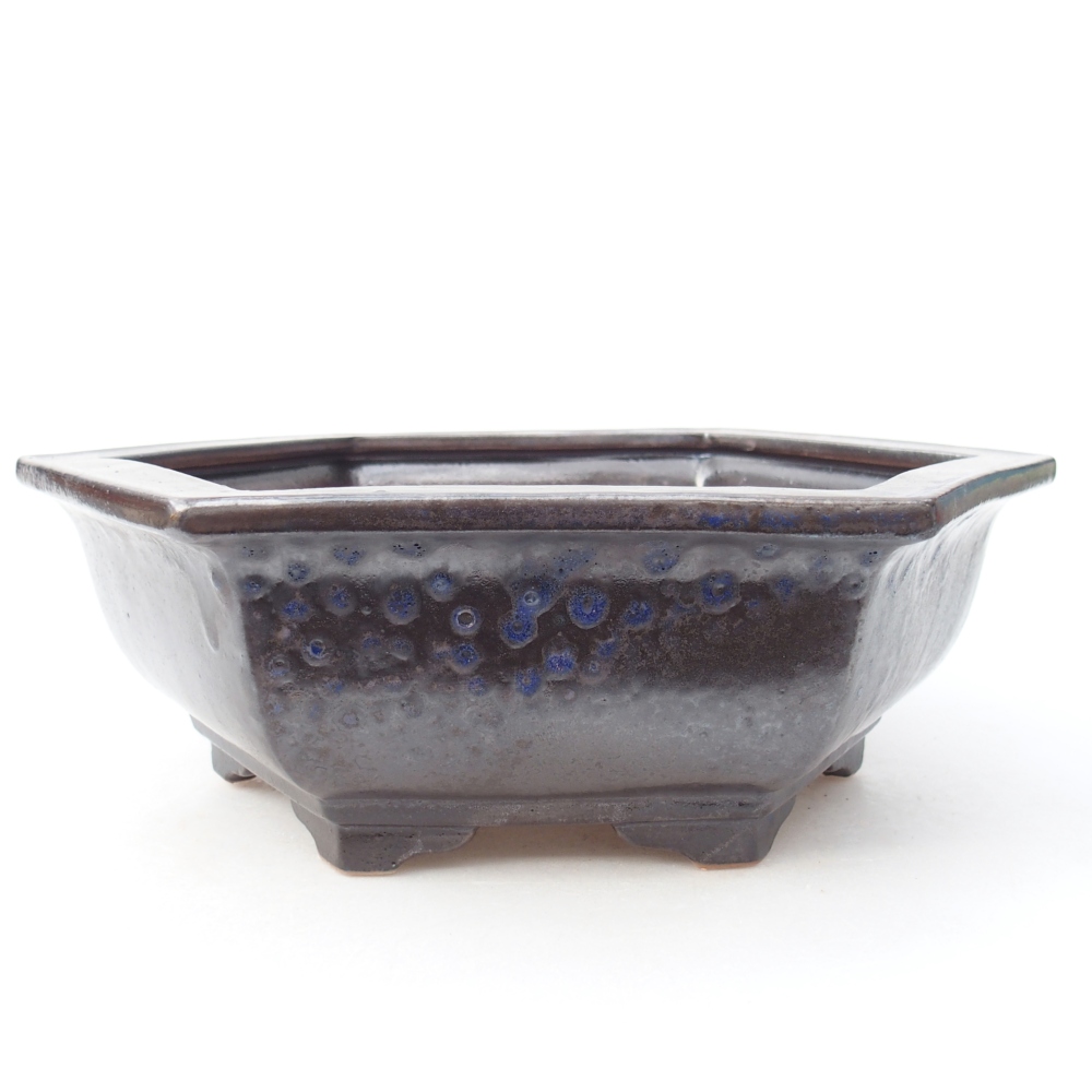 Ciotola bonsai in ceramica 28 x 24,5 x 9 cm, colore blu-nero