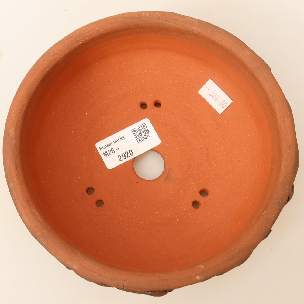 Ciotola per bonsai in ceramica 16,5 x 16,5 x 6 cm, marrone