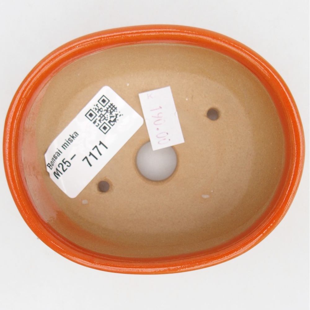 Ciotola bonsai in ceramica 26 x 26 x 8 cm, colore rosso