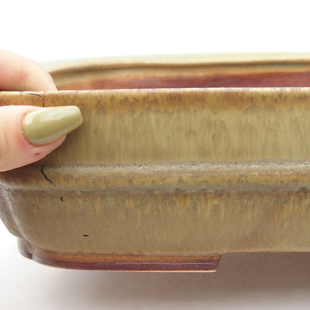 Ciotola per bonsai in ceramica 29 x 23,5 x 7 cm, verde