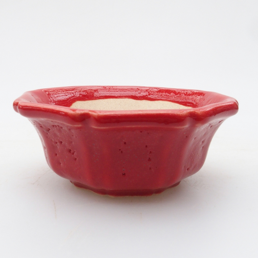 Mini bonsai 6 x 6 x 2 cm, colore rosso