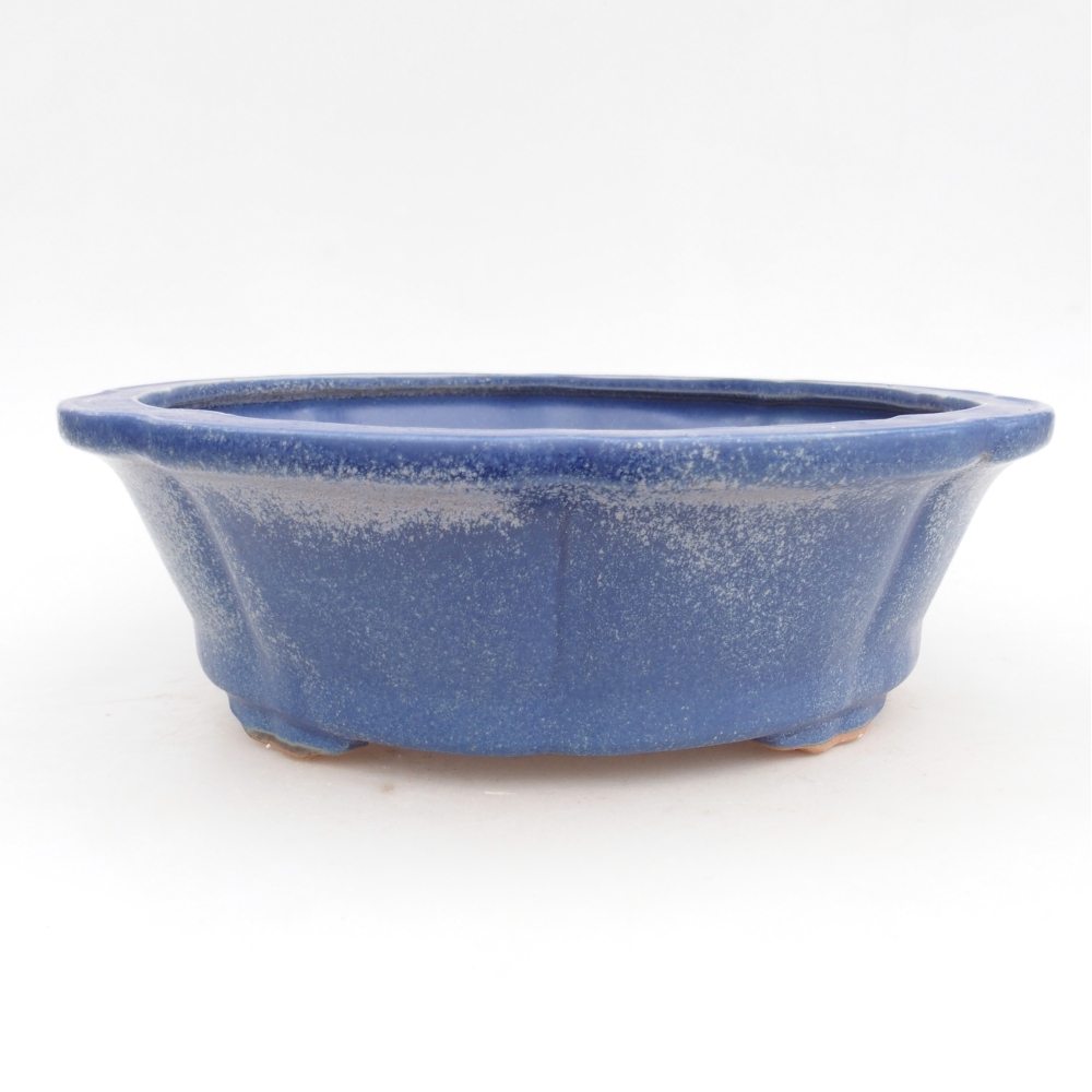 Ciotola bonsai in ceramica 26,5 x 26,5 x 8,5 cm, colore blu