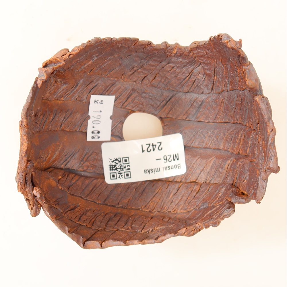 Guscio in ceramica  9,5 x 8,5 x 8,5 cm, colore marrone