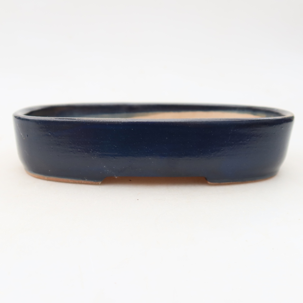 Ciotola bonsai in ceramica 16 x 11 x 3,5 cm, colore blu
