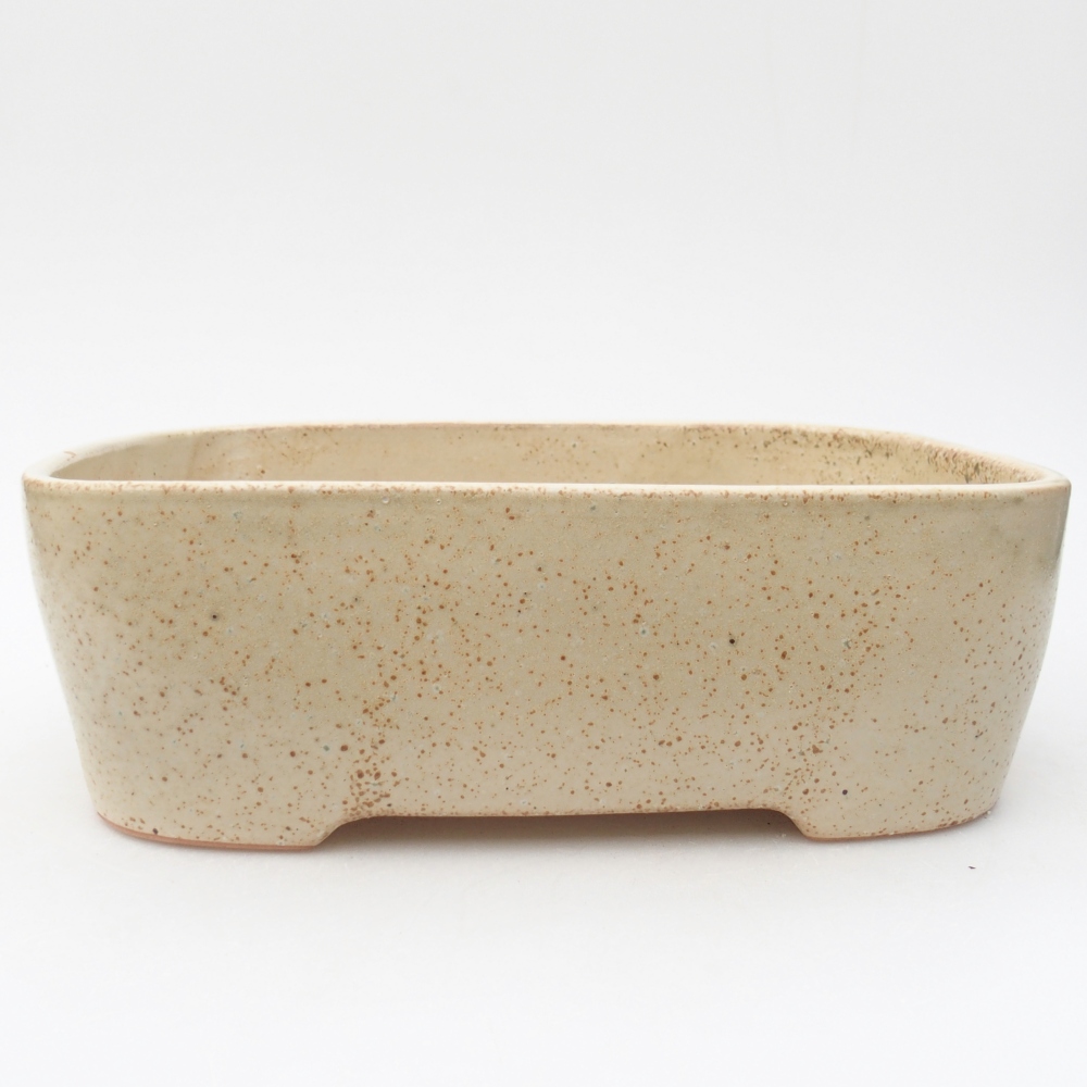 Ciotola bonsai in ceramica 23 x 18 x 7,5 cm, colore beige