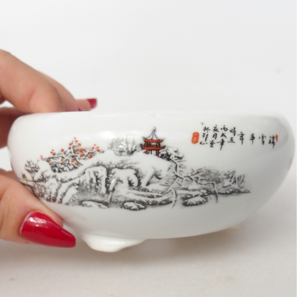 Ciotola per bonsai in ceramica 10 x 10 x 5 cm, colore bianco