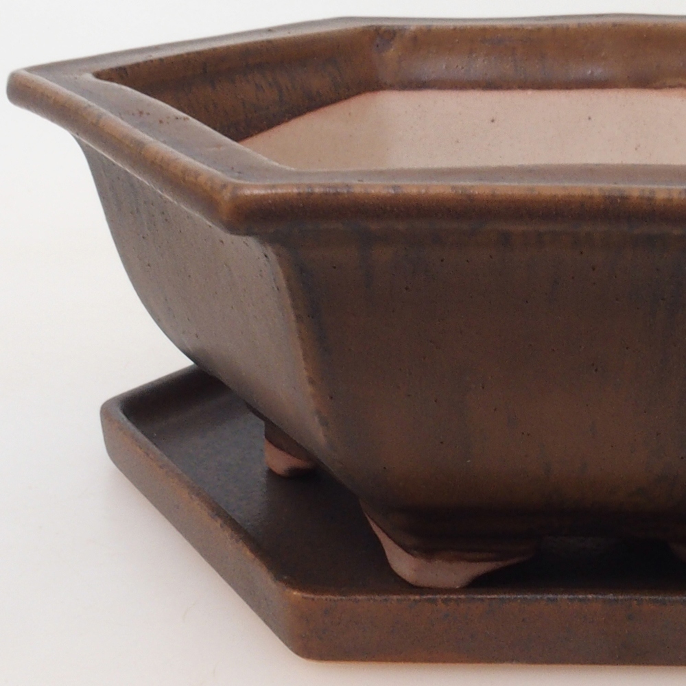 Ciotola bonsai + piattino H53 - 19 x 21,5 x 7 cm - marrone