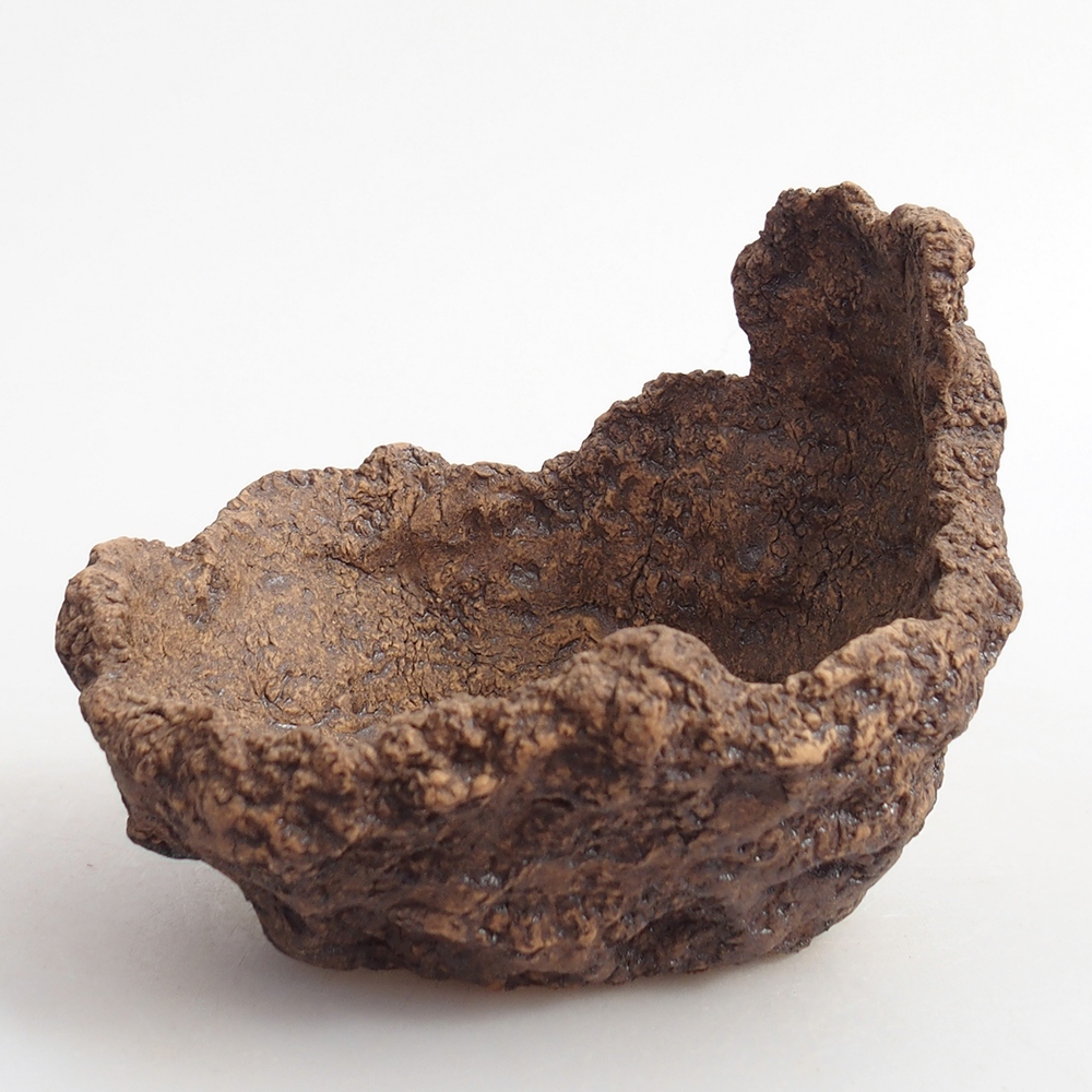 Conchiglia in ceramica 10 x 8 x 9 cm , colore marrone