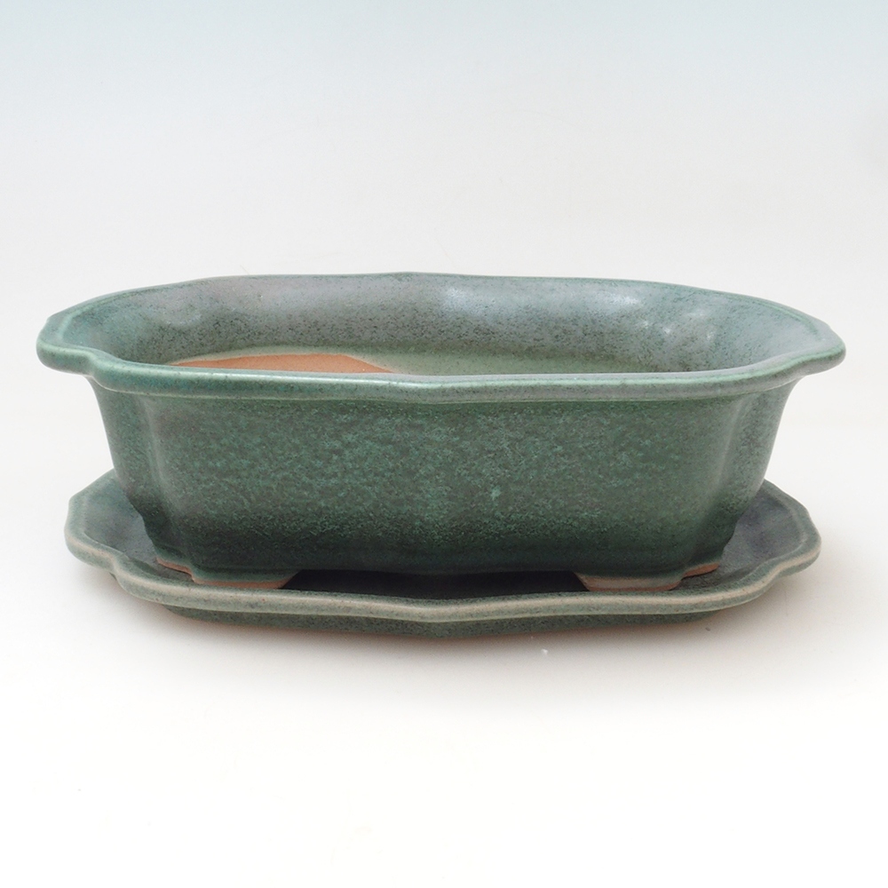 Ciotola bonsai + piattino H51 - 18x14x5 cm - verde